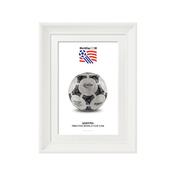 صورة الكرة الرسمية لكأس العالم 1994 (نسخة)