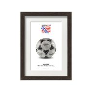 صورة الكرة الرسمية لكأس العالم 1994 (نسخة)