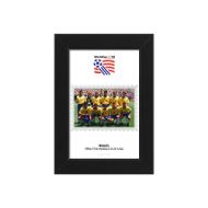 صورة الفائز بكأس العالم 1994 - البرازيل
