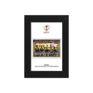 صورة الفائز بكأس العالم 2002 - البرازيل